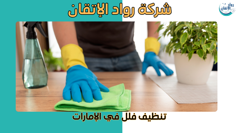 تنظيف فلل في الإمارات