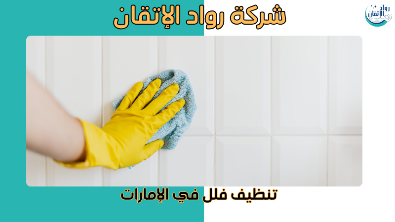 تنظيف فلل في الإمارات
