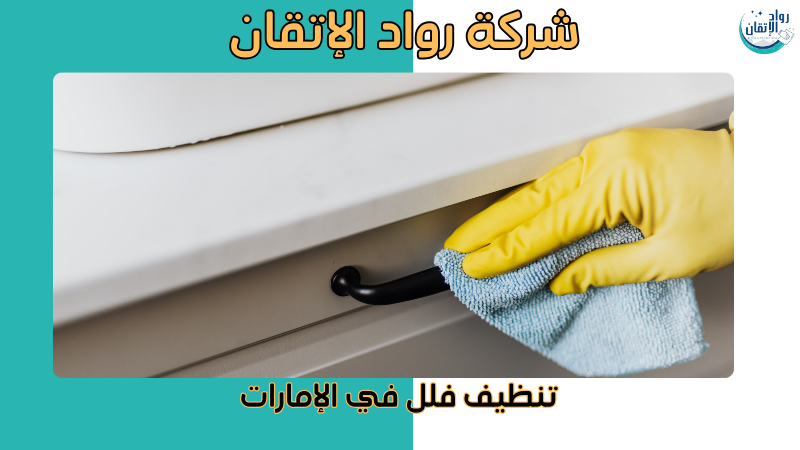 تنظيف فلل في الإمارات