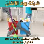 عاملات تنظيف بالساعة مع تعقيم في دبي
